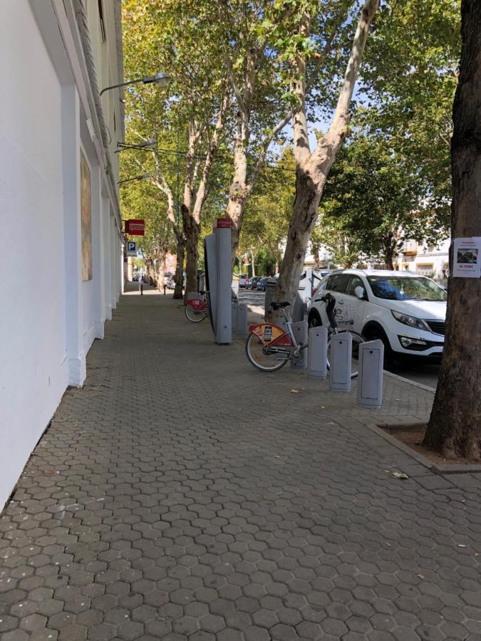 Apartamento 1 Dormitorio Y Salon Con Sofa Cama Bien Comunicado Con El Centro Sevilla Bagian luar foto